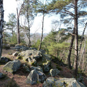 Forêt de Rambouillet et rochers d'Angennes